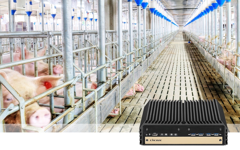 DX-1100 Powers Automation of Livestock Food Supply Equipment for Animal Husbandry