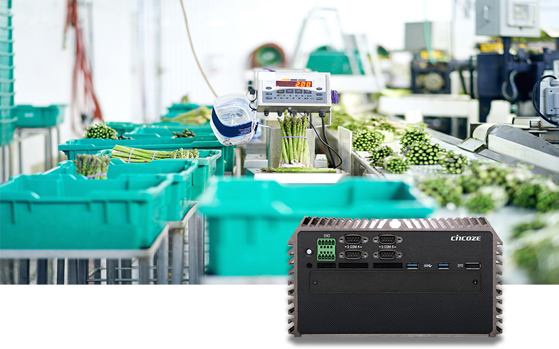 Cincoze DS-1002 Improves Automated Process for Asparagus Sorting