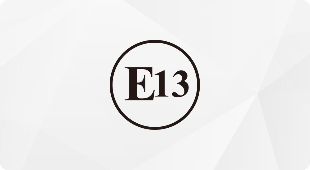 E13 E13